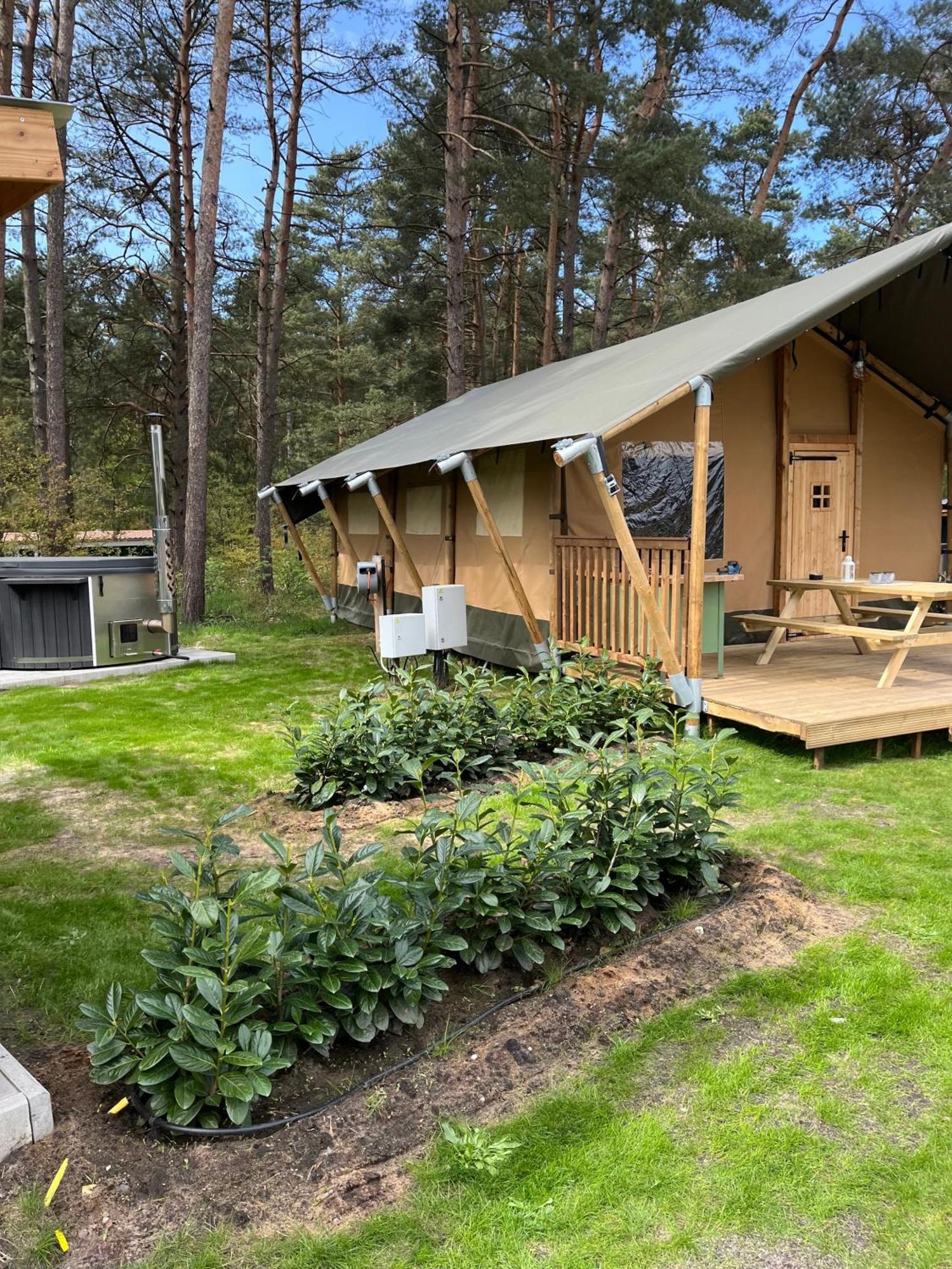 Glampingzelt Family - Lodge 索尔陶 外观 照片